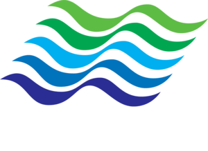 JPS